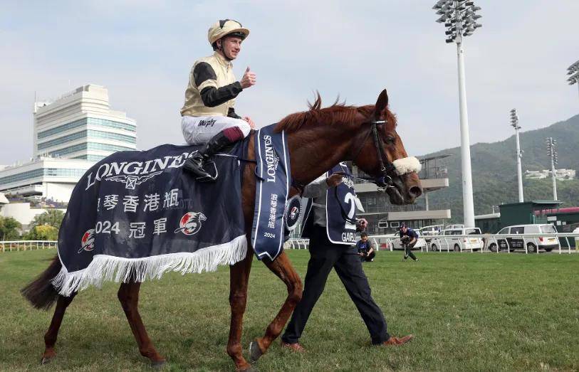 香港马买马网站www新机遇与挑战的深度分析,香港马买马网站www_{关键词3}