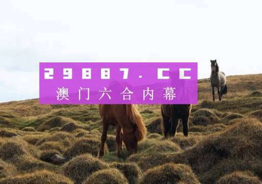 新澳门开奖结果+开奖结果成功之路的智慧总结,新澳门开奖结果+开奖结果_{关键词3}