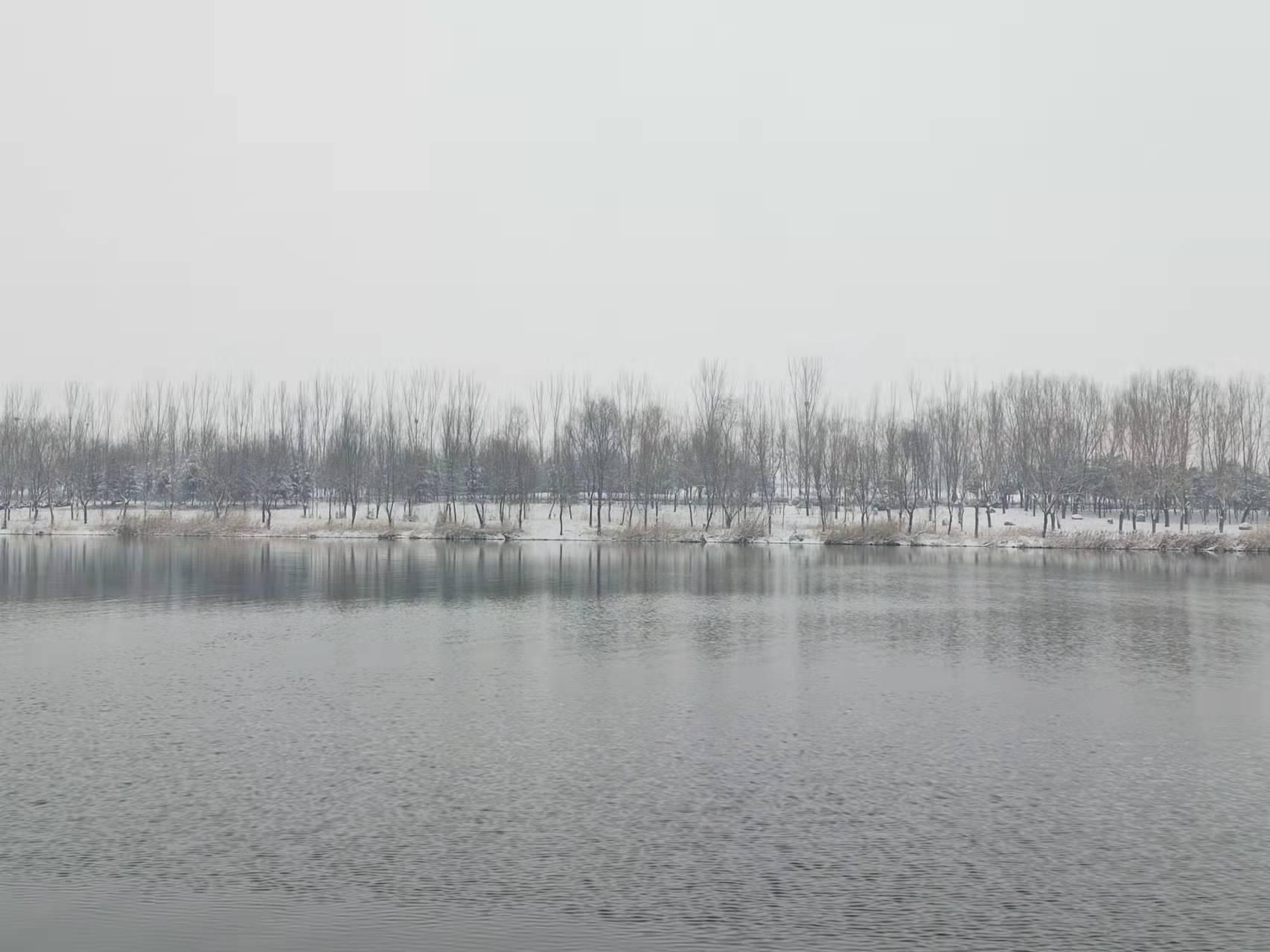 河南局地暴雪，影响与应对