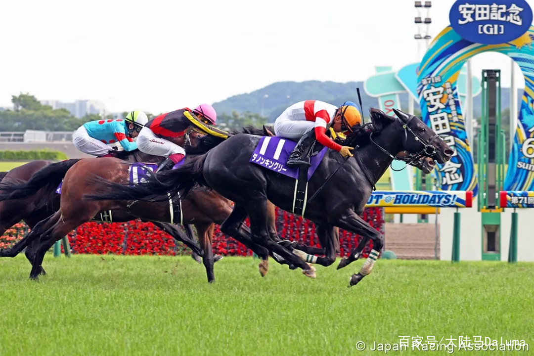 香港特马资料王中王体验科技带来的便利与创新,香港特马资料王中王_{关键词3}