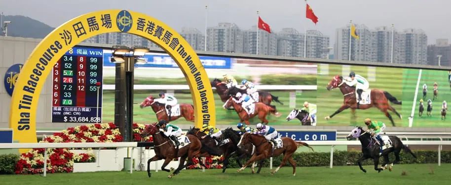 港澳研究院买马开奖成功之路的探索,港澳研究院买马开奖_动态版39.629