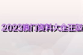 2023管家婆资料正版大全澳门助你规划未来的成功之路,2023管家婆资料正版大全澳门_8DM61.150