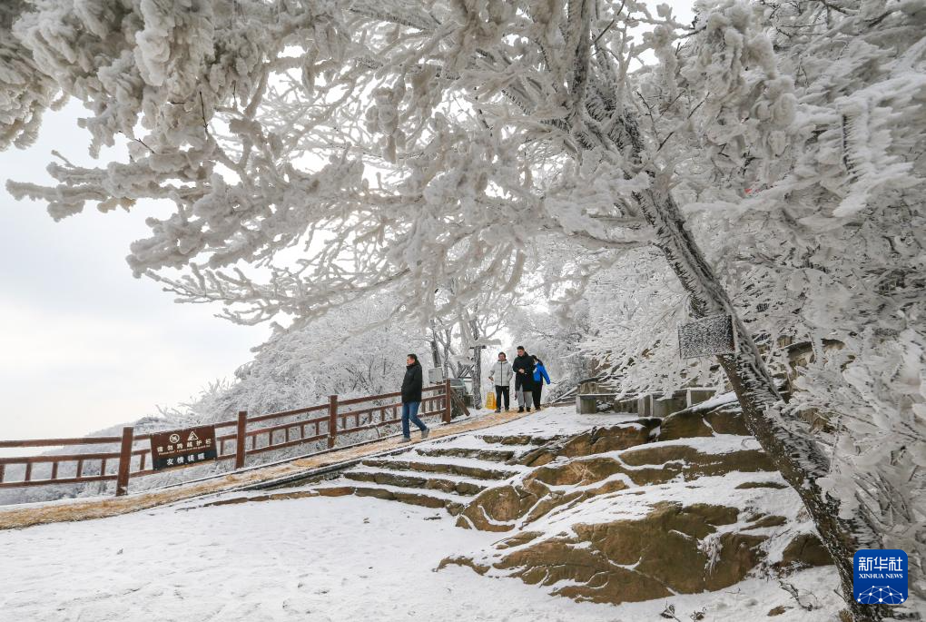 震惊！棉花代雪景区突发关闭事件，背后真相究竟如何？