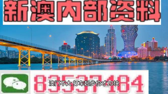 2025澳门330期惊天预测！量化分析揭示Essential65.976背后的风险风暴，你敢赌吗？