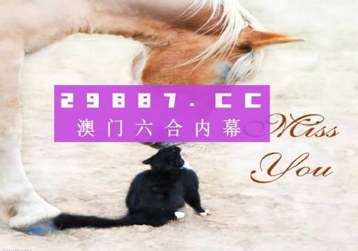 惊爆！4949澳门精准免费大全小说背后的秘密，HD89.530反馈落实竟暗藏玄机！