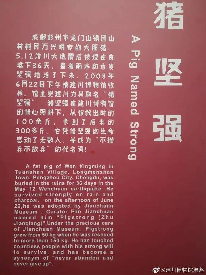 震惊！潘玮柏暴瘦14斤惊现纸片人身材，昔日潘玮厚形象彻底崩塌！